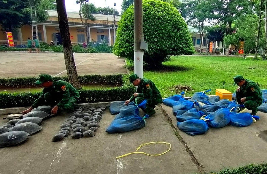 BPAG-tan gcuong-chbulau-3.jpg