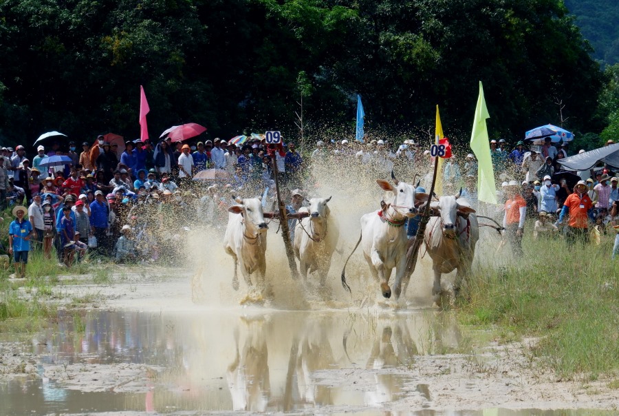 Dua-bo-tranh-cup-truyenhinh-ag-1.jpg