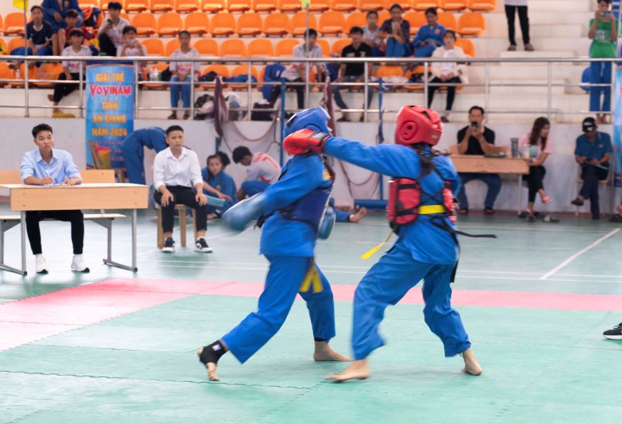 Giai-vovinam-1.JPG