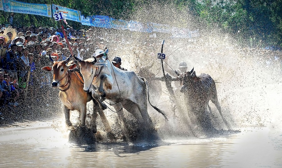 Lehoi-trongthang9-22-2.jpg