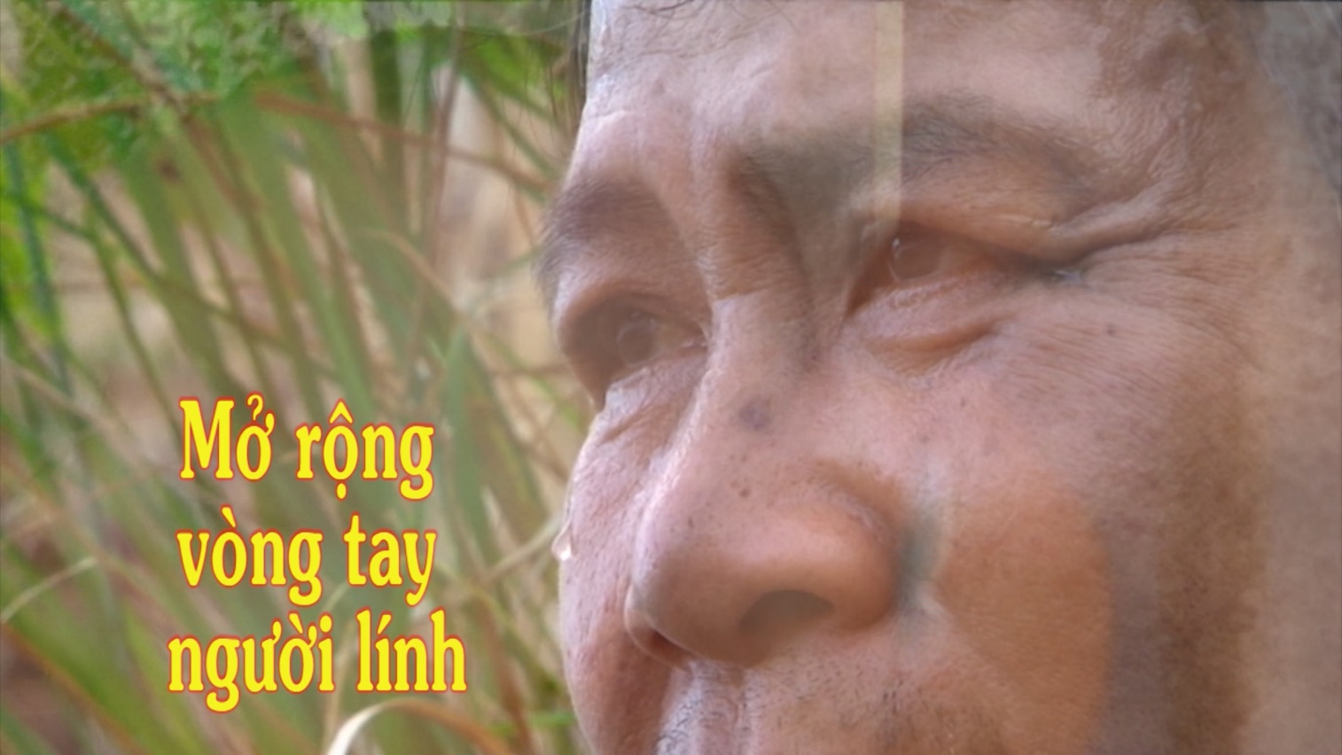 Lienhoan-truyenhinh-5.jpg