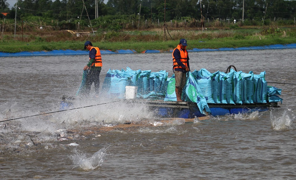 Nong-nghiep-ag-2.jpg