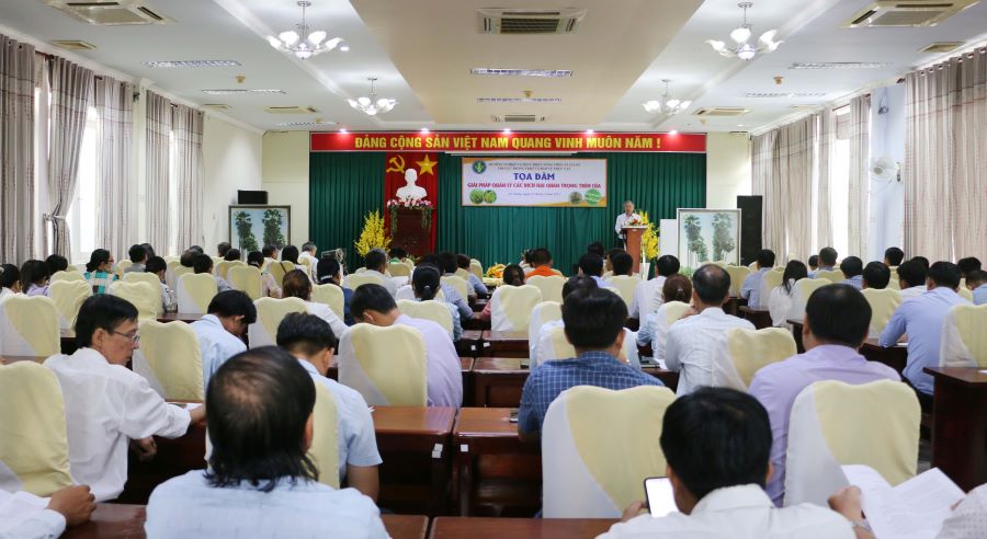 Ptrinh-luagao-1.jpg