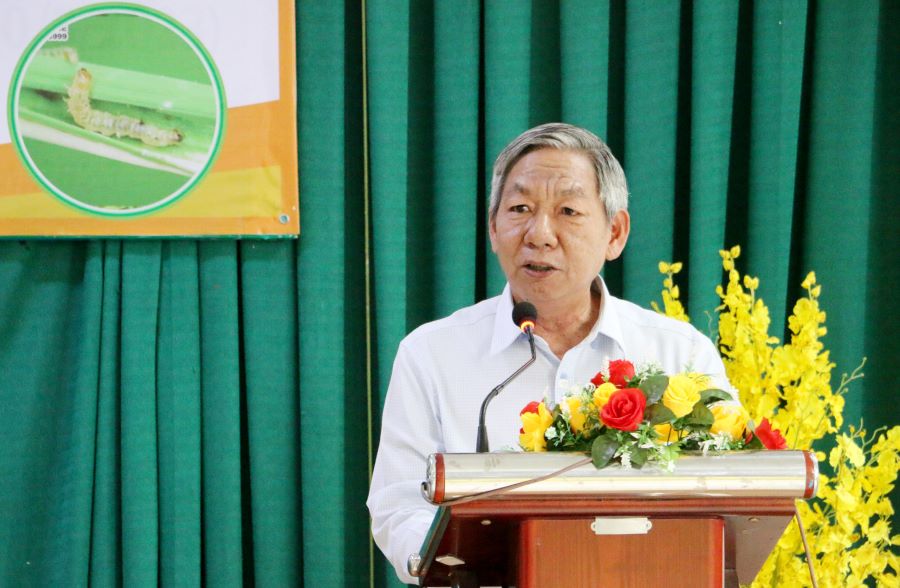 Ptrinh-luagao-4.jpg