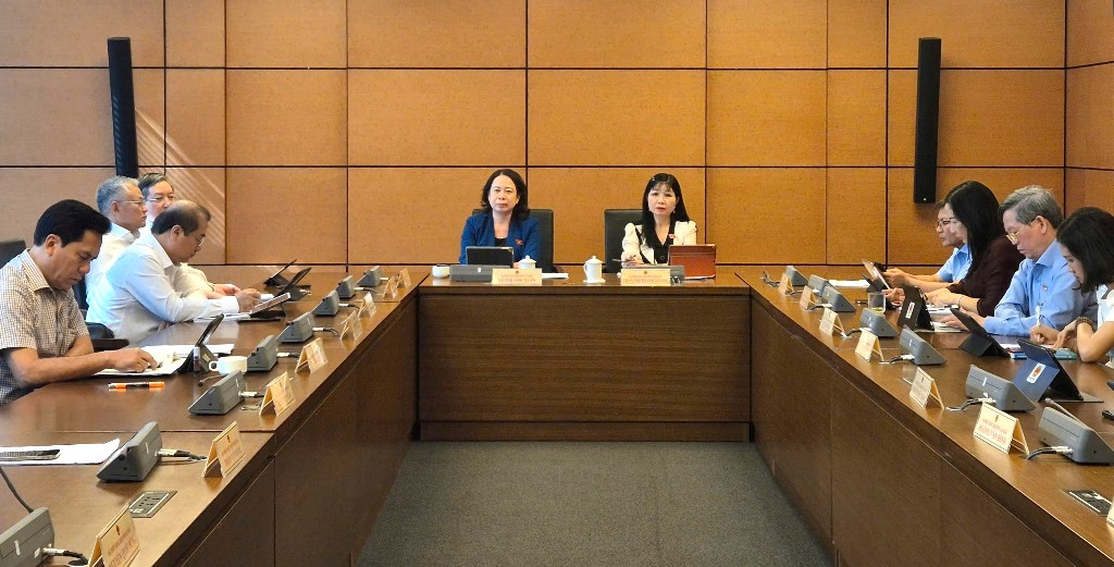 Đoàn đại biểu Quốc hội tỉnh An Giang thảo luận sửa đổi Luật Bầu cử đại biểu Quốc hội và đại biểu HĐND