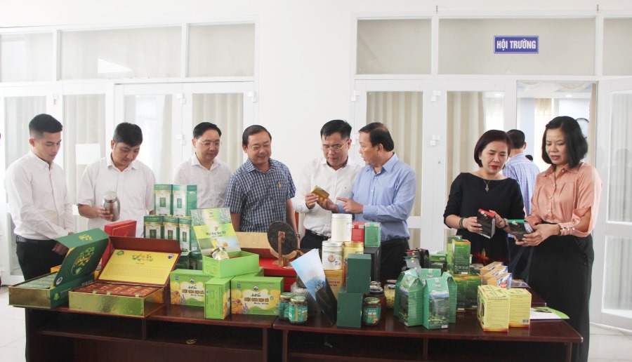 SCT-kyket-hàgiang-3.jpg
