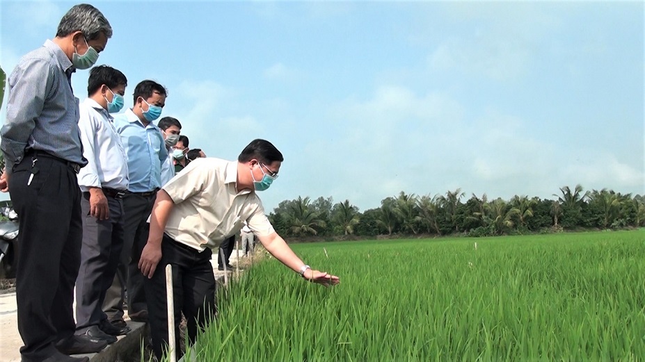 TC-tham-ruong-1.jpg