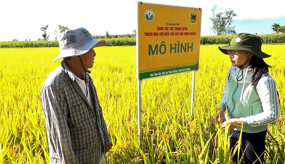 Nâng cao hiệu quả kinh tế cho nông dân  Báo Đồng Nai điện tử