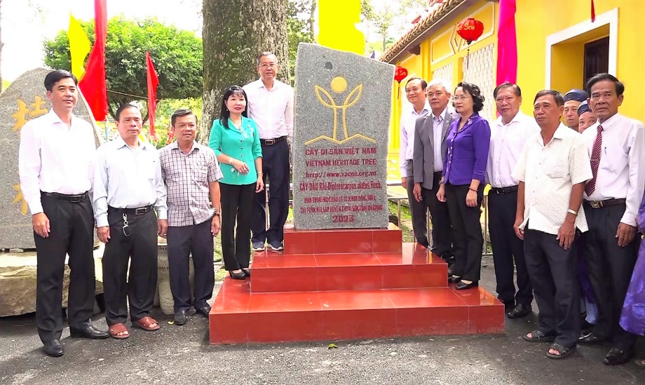 TS-kn-ngay-mat-TNH-3.jpg